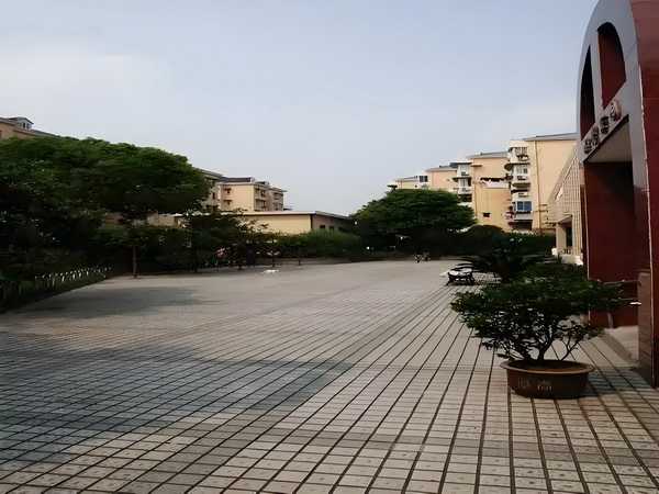 2025深圳户口最新政策_《扫毒风暴》大结局王奇令人失望！林强峰的牺牲，与她有隐秘关联 扫毒风暴任其刑要求追究事责